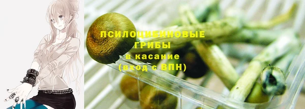 кристаллы Ельня