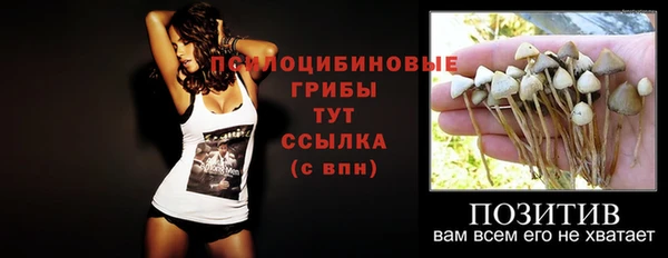 кристаллы Ельня