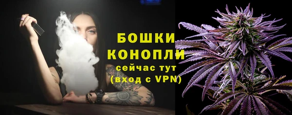 твердый Елизово